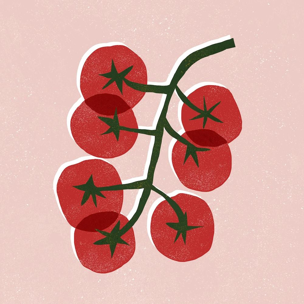 Tomatoes On A Branch