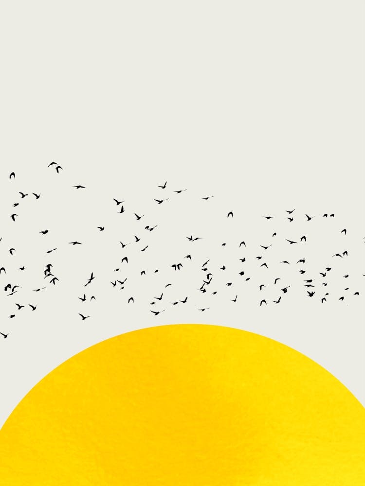 A Thousand Birds