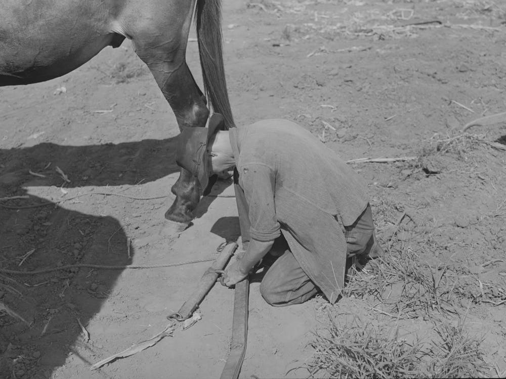 Son Of Tenant Farmer Hooking Up For Field Work Near Muskogee, Oklahoma, Refer To General Caption Number 20 By Russ