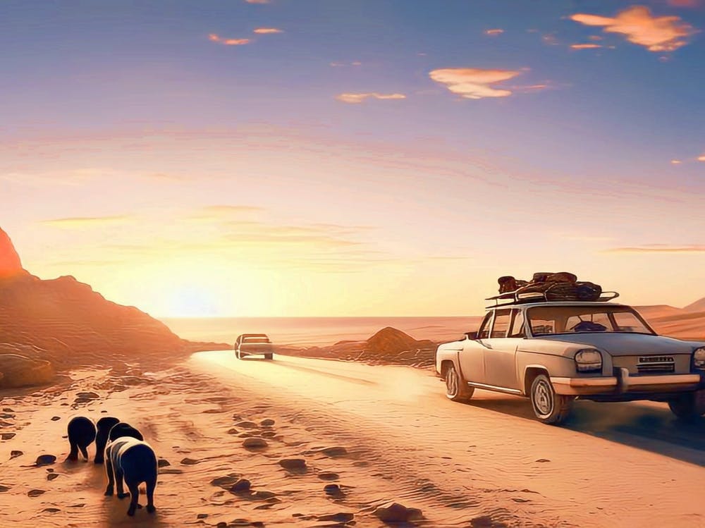 Beautiful desert nature with sunset