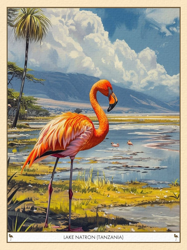 Greater Flamingo Lake Natron Tanzania Tropical Illustration 6 Poster