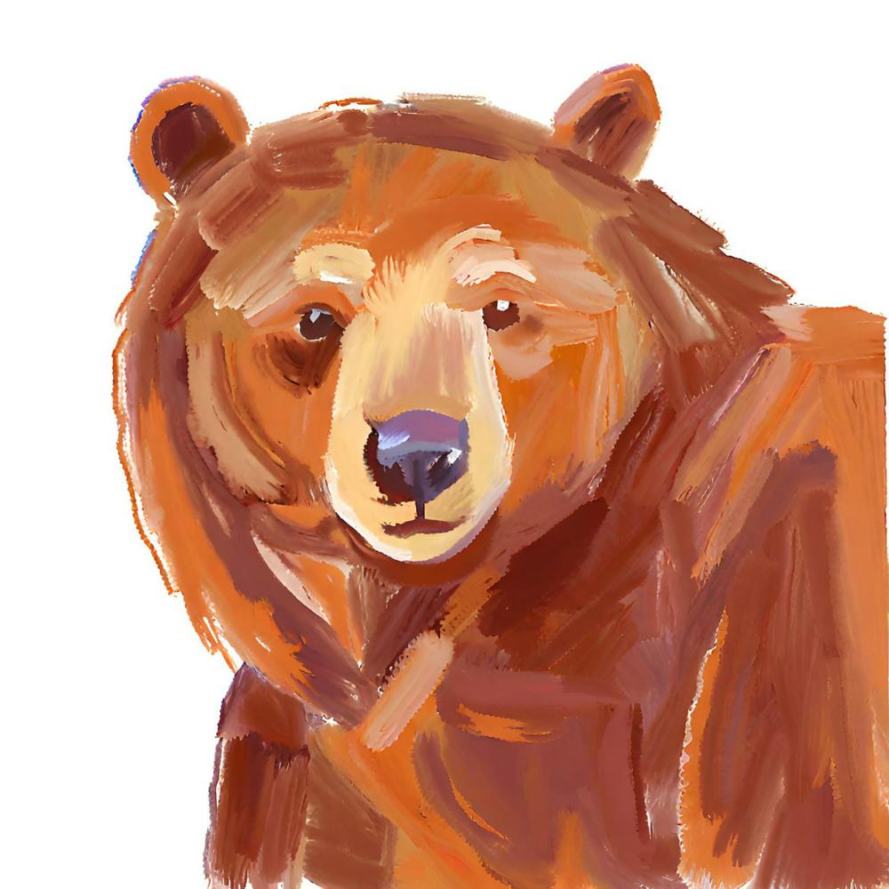 Brown Bear 03