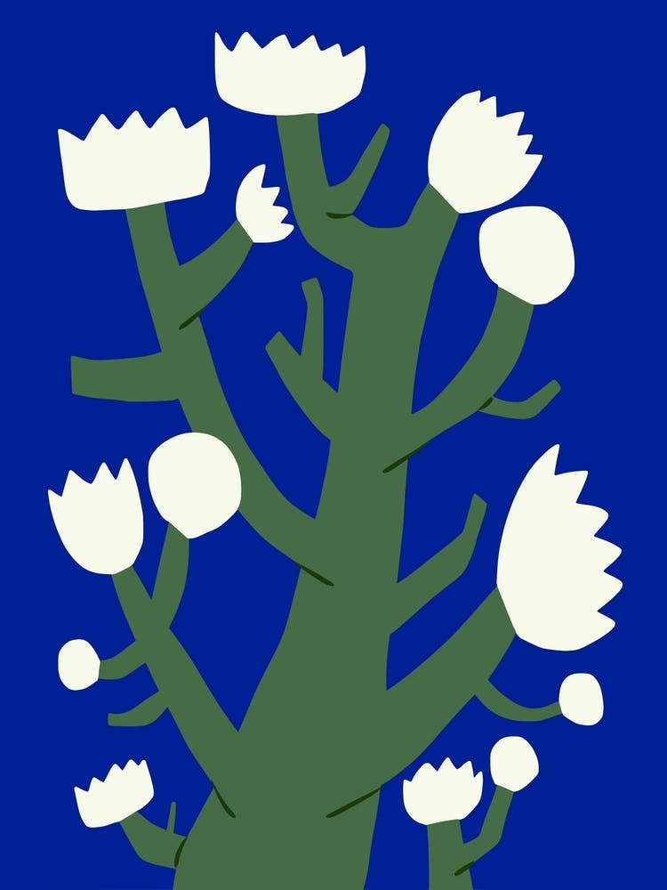 White Blossom