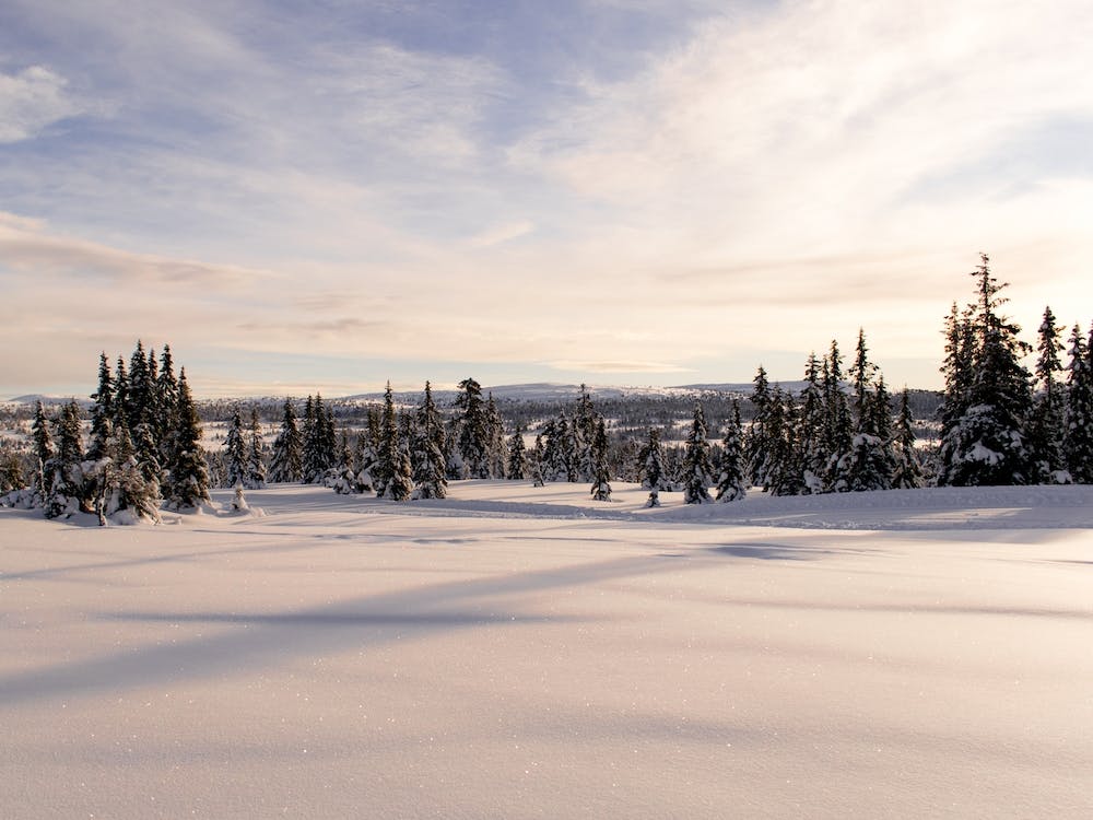 A sunny afternoon in Sjusjøen, Norway