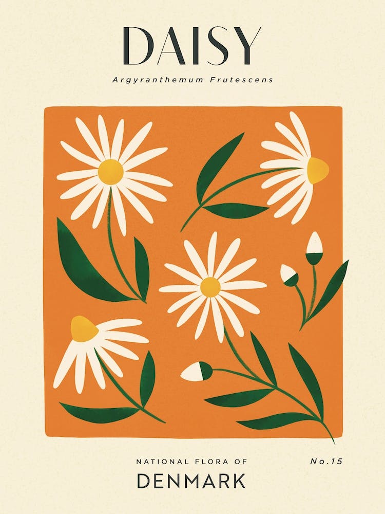 Vintage Fleur de Marguerite Orange et Blanche du Danemark