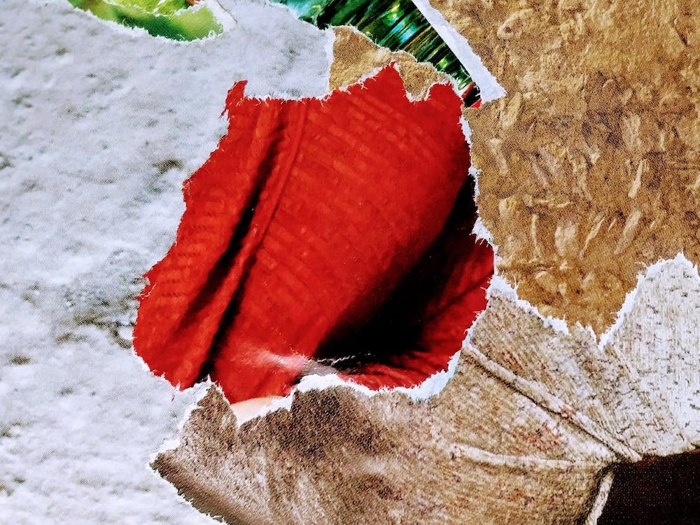 Abstract Art