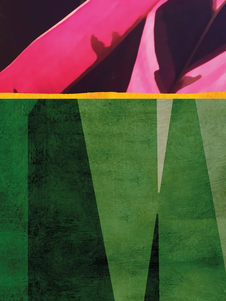 Green And Pink Vibrant