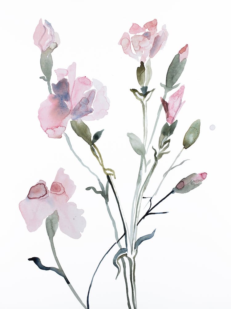 Floral 8