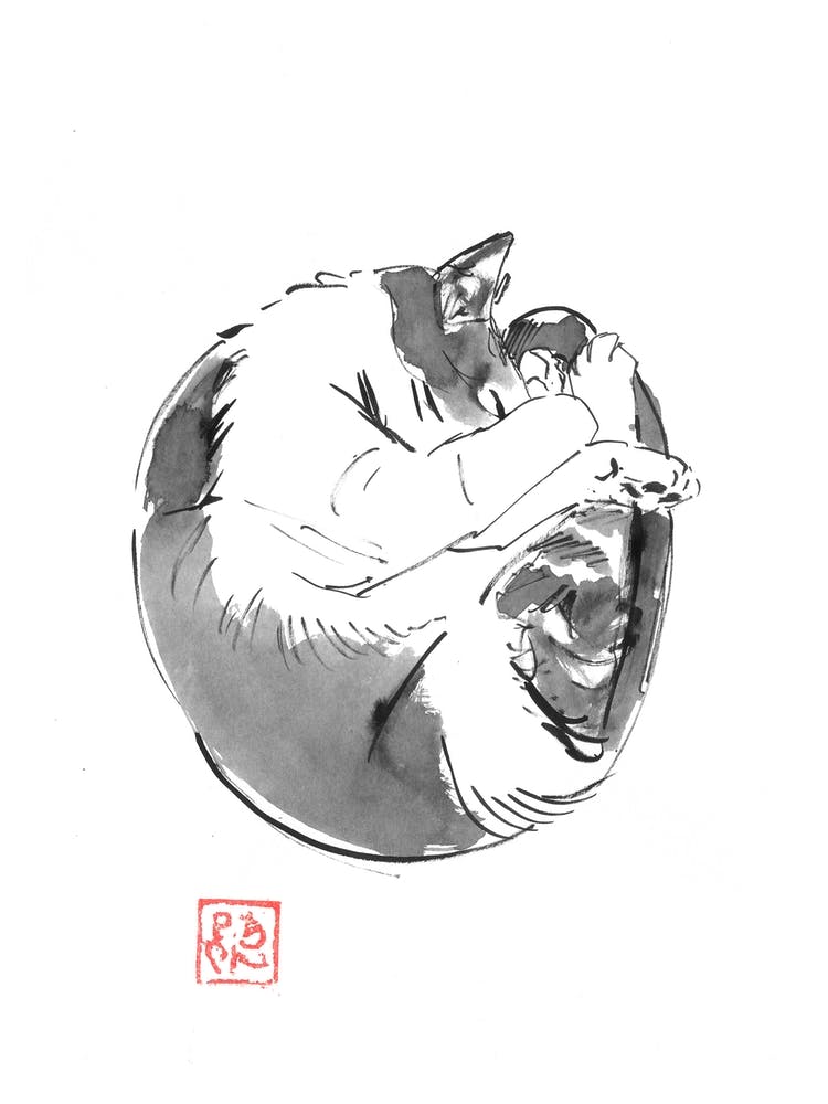 Round Cat