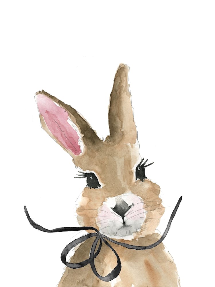 Babyhase