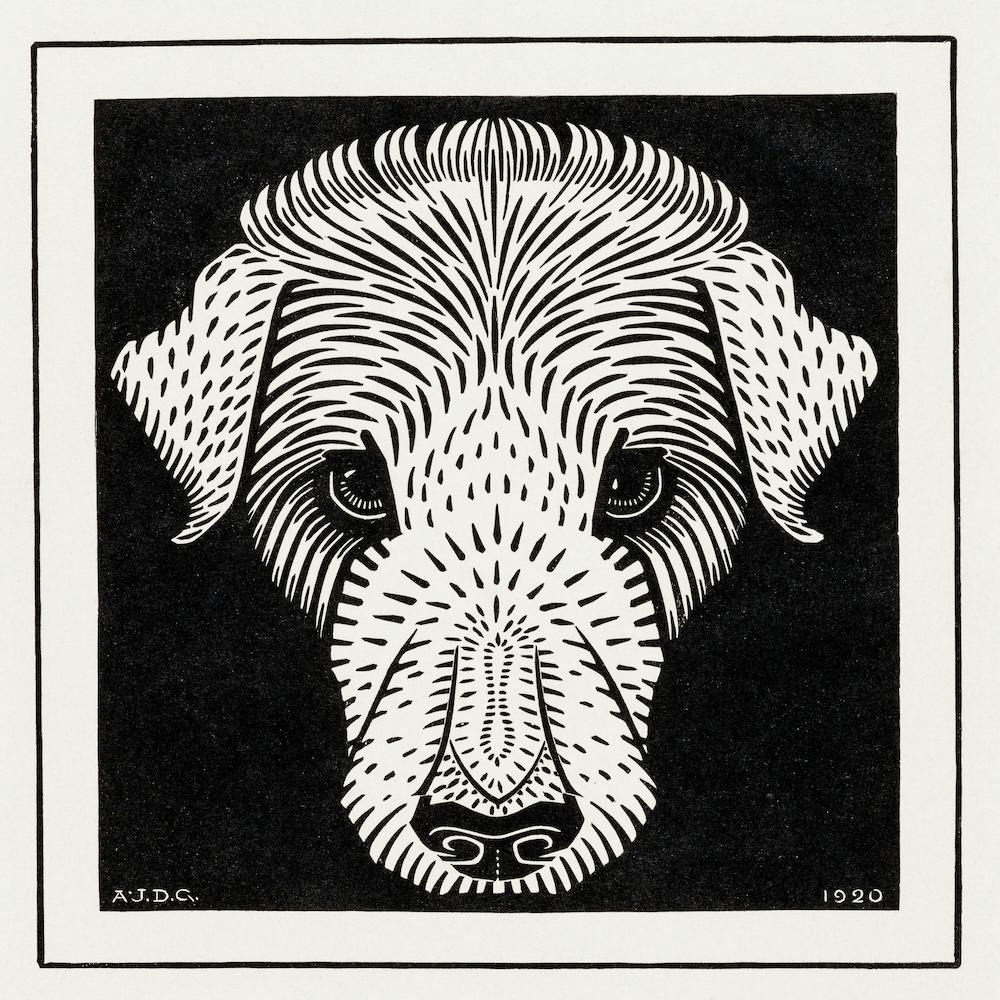 Dog's Head, Julie De Graag