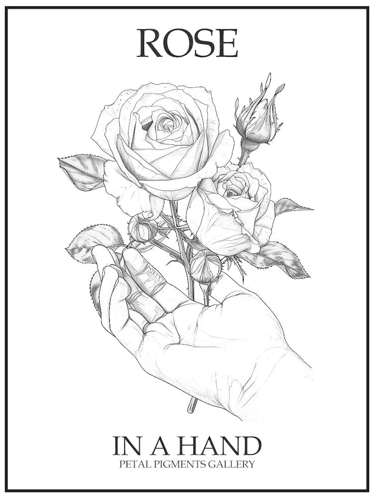 Rose In A Hand Line Drawing 1 Poster