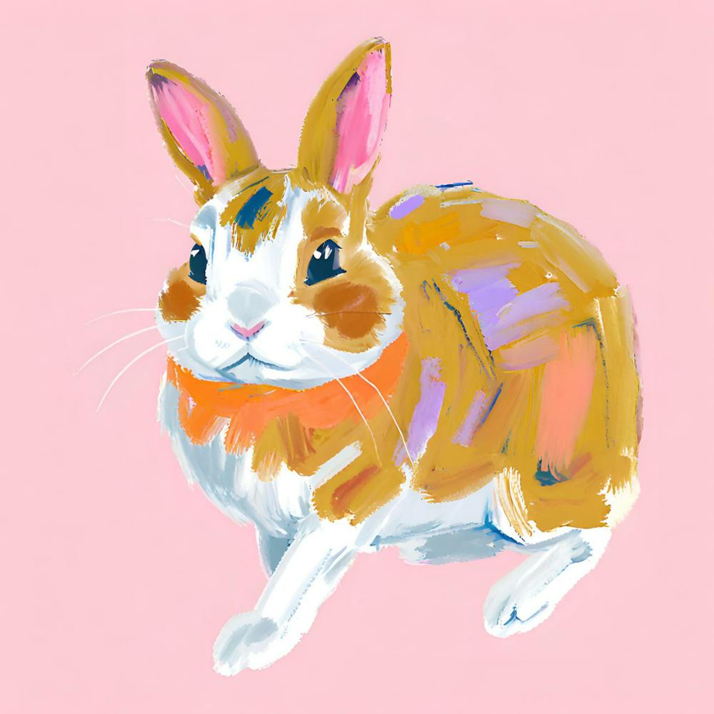 Netherland Dwarf Rabbit 03