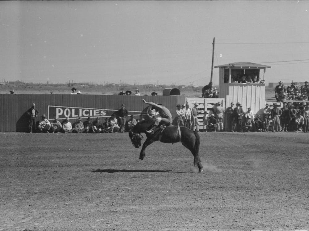 Untitled Photo, Possibly Related To Fancy Riding Demonstration At The Rodeo Of The San Angelo Fat Stock Show,