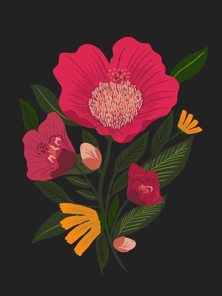Pink Blooms