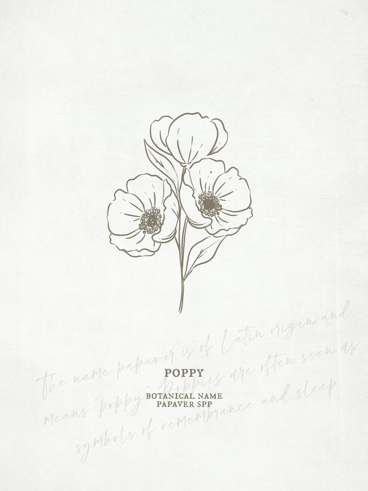 Poppy Birth Flower | Antique