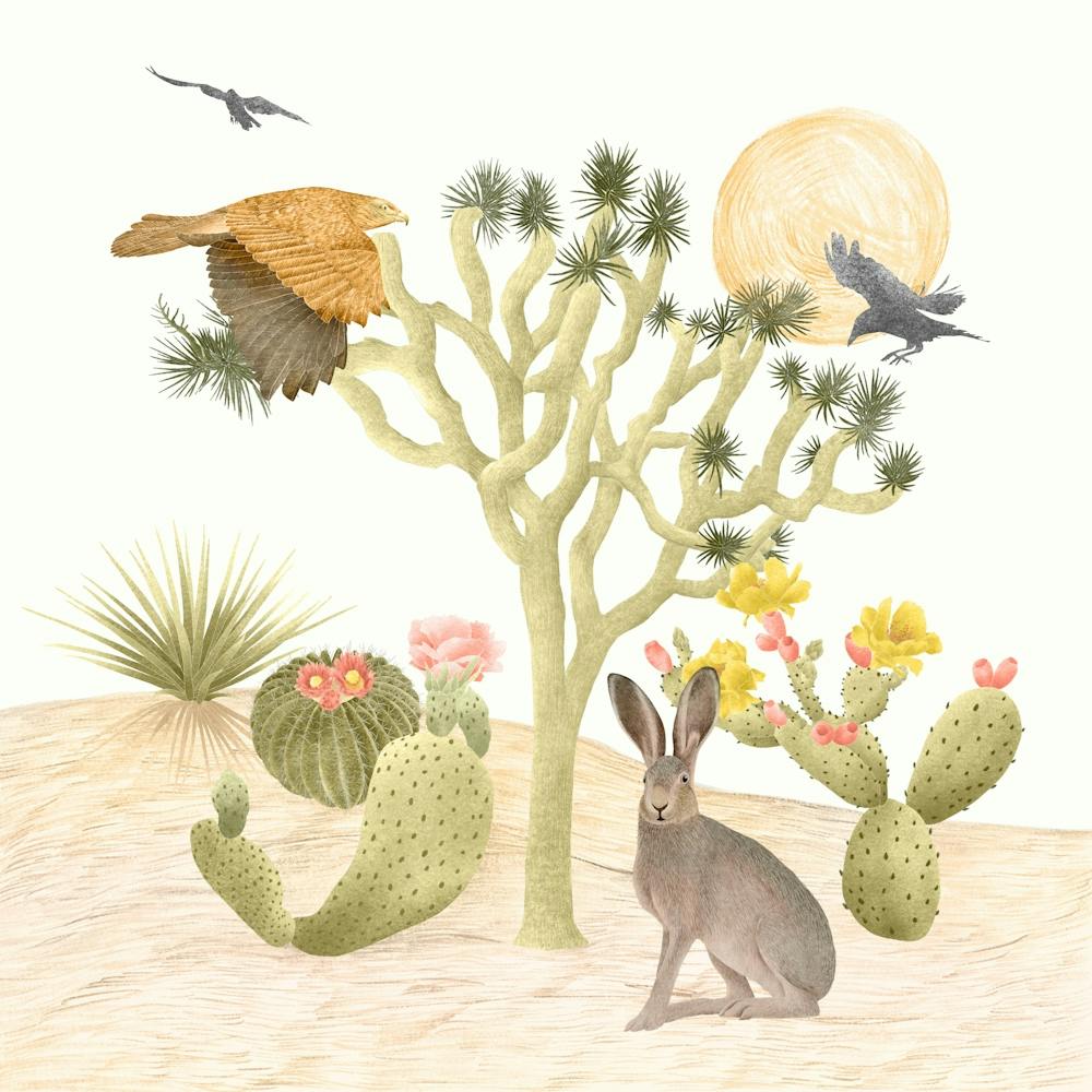 Désert de Mojave Cactus et Faune