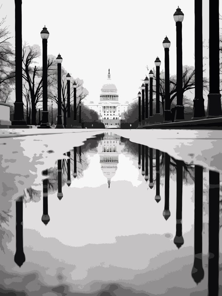 Washington Dc Usa Black And White Analogue Photograph 2