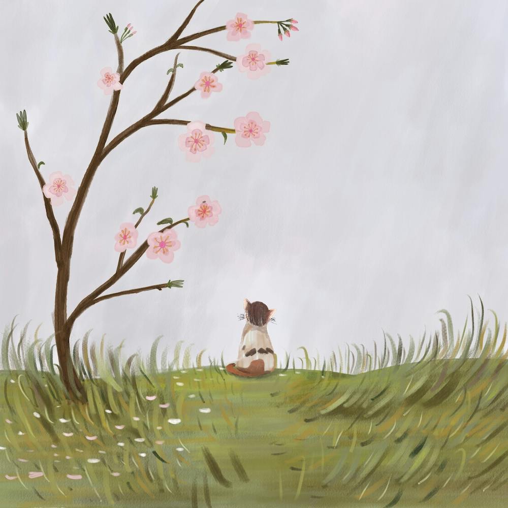 Cat Waiting For Flowers Blossoming Square