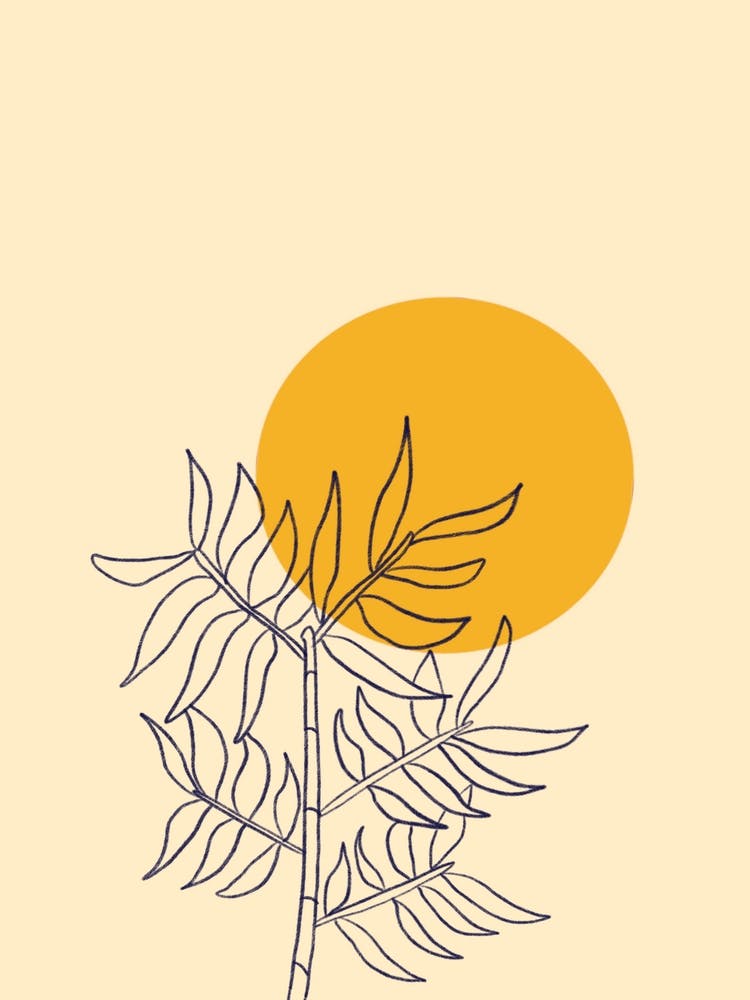 Bamboo Sunset