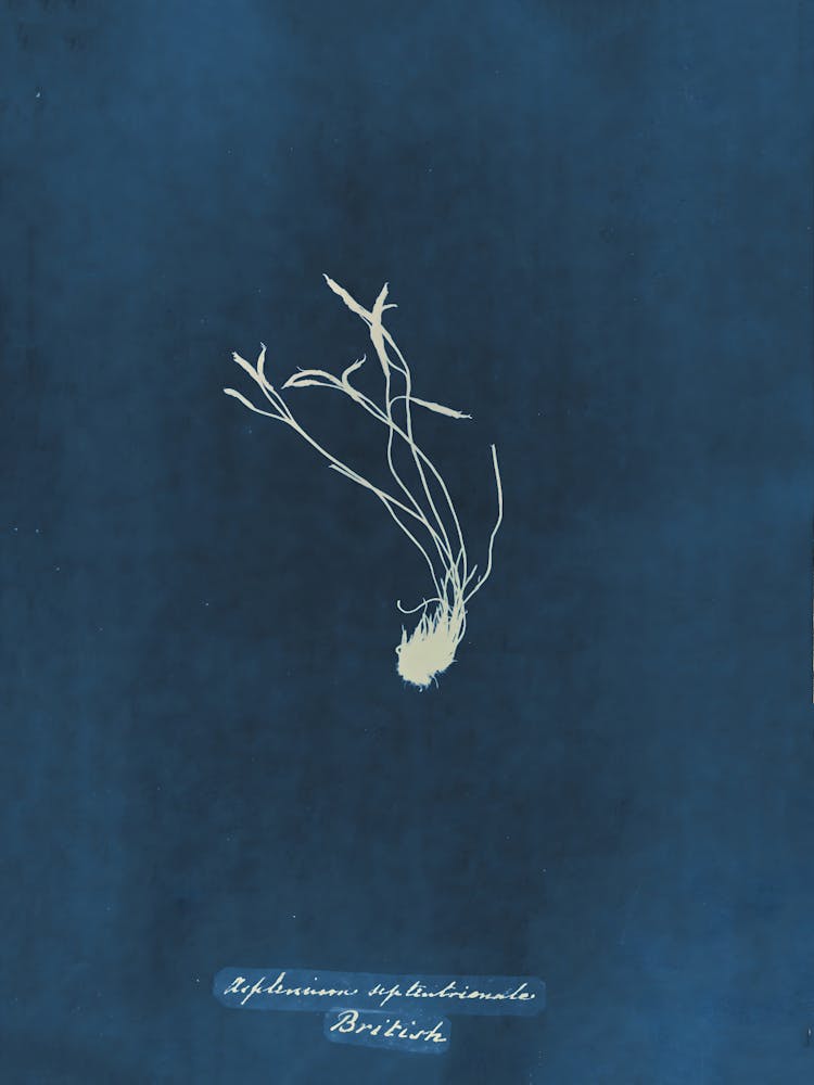 New Project (3) 8
