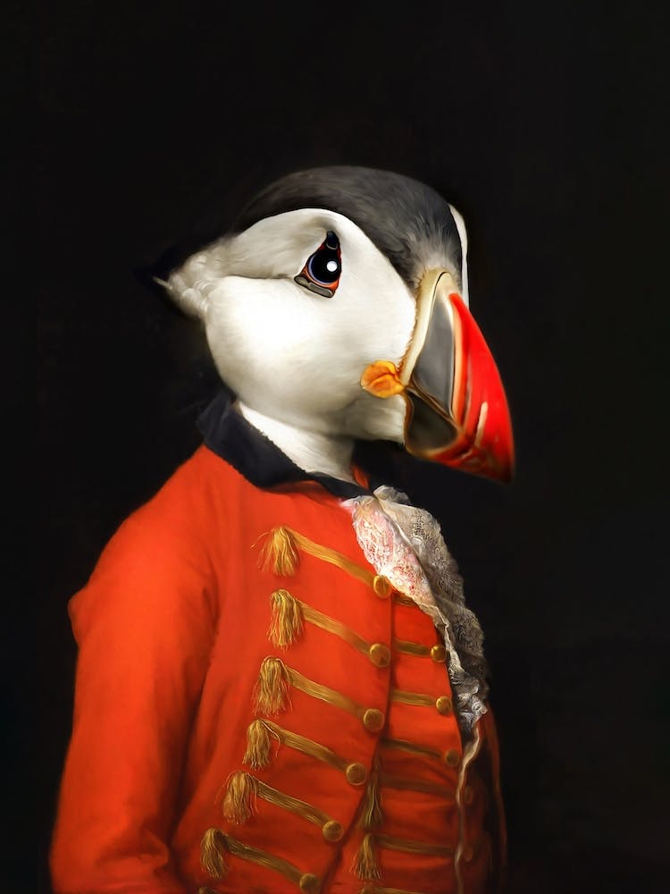 Butler Batoni The Puffin Bird Pet Portraits