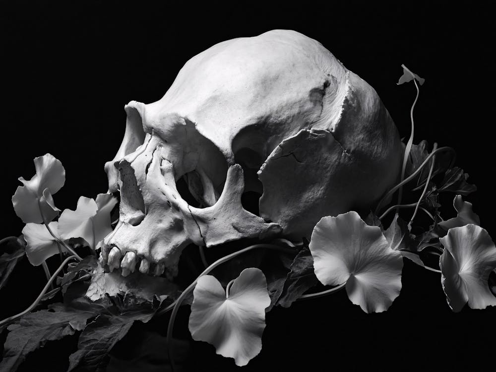 Skull And Flowers 2