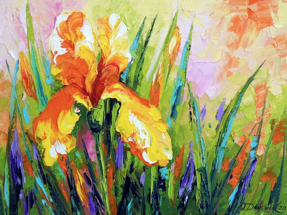 iris blossom