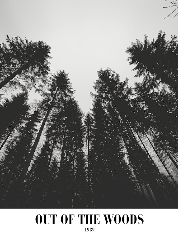 Taylor Swift Out Of The Woods 1989 Swifie Merch Black And White