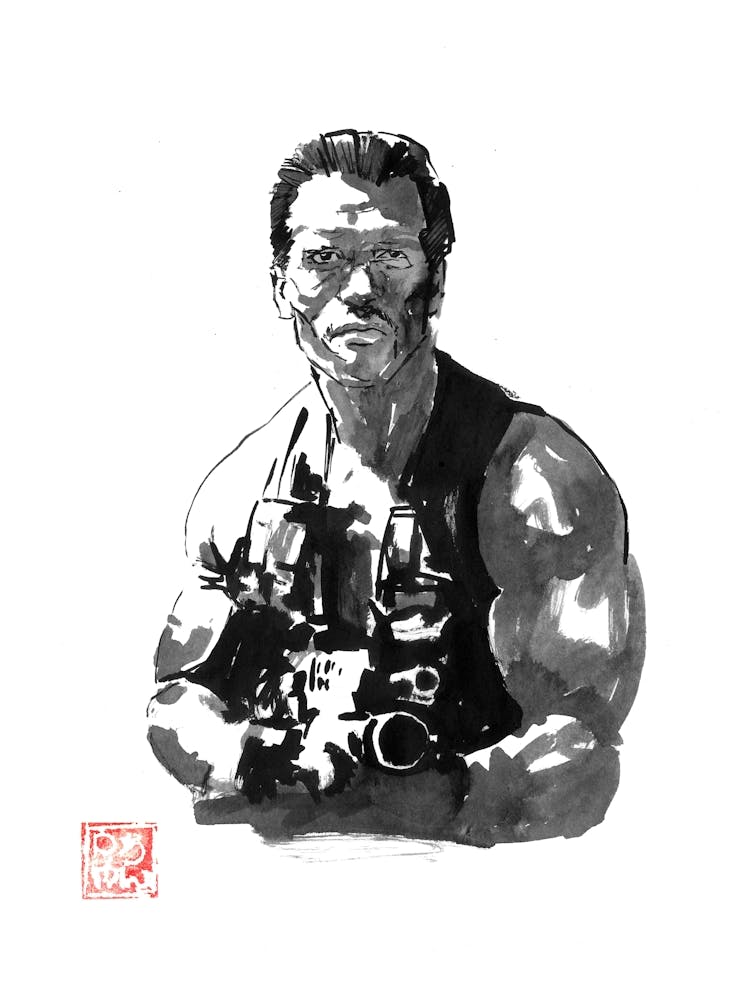 Schwarzy In Predator