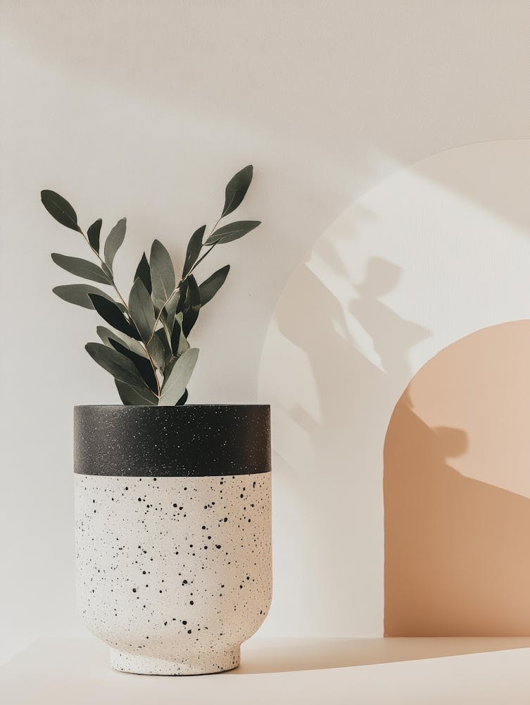 Plant In A Pot 112