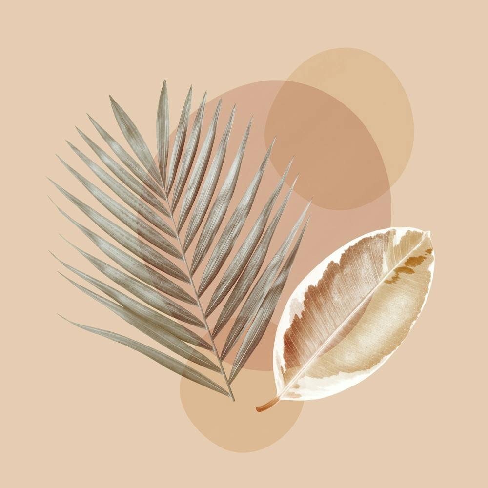 Harmonious floral composition 15