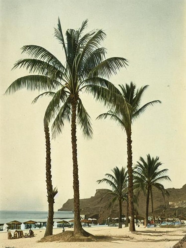 Amadores Beach Gran Canaria Spain Vintage