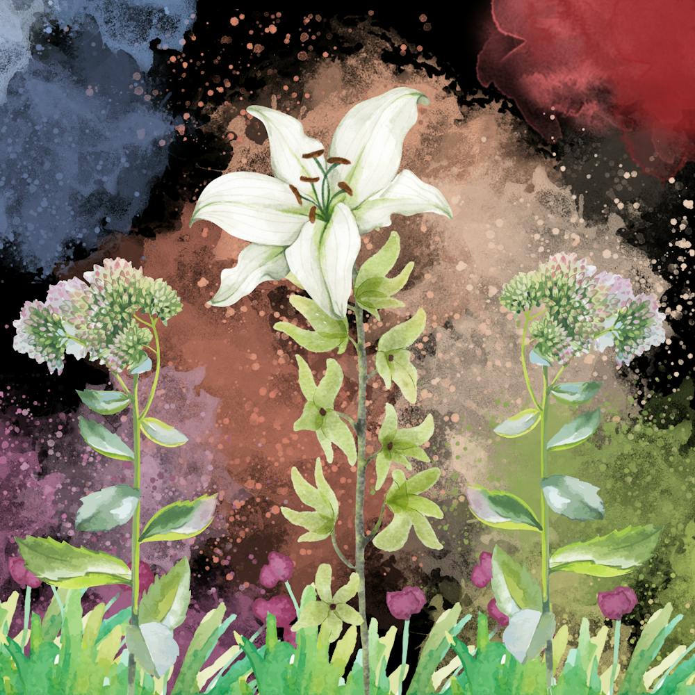 Lily Abstract Paint mix