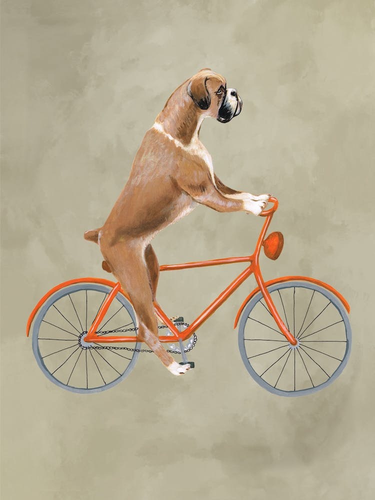 Boxer On Bicycle