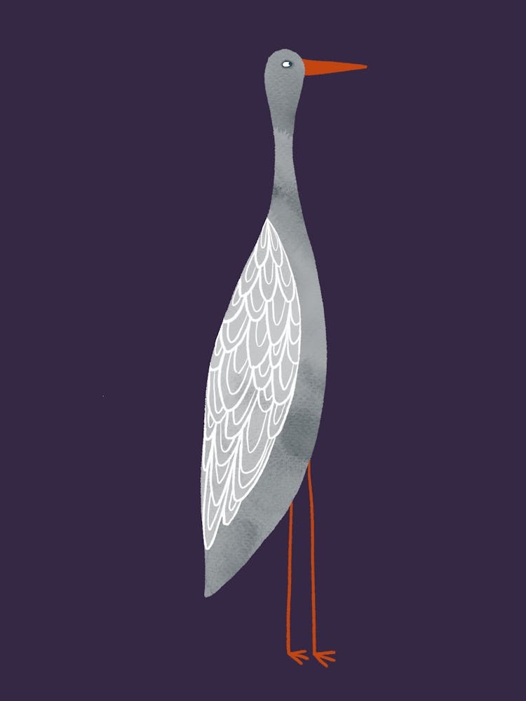 Heron Stork Bird