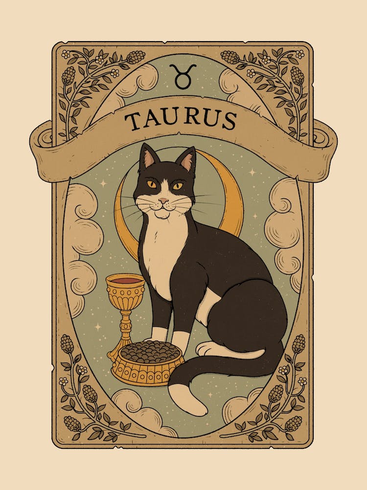 Cats Astrology Taurus