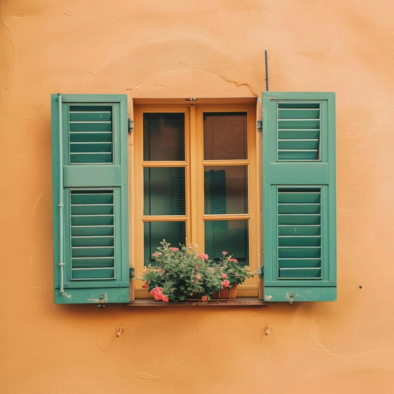 Window 12