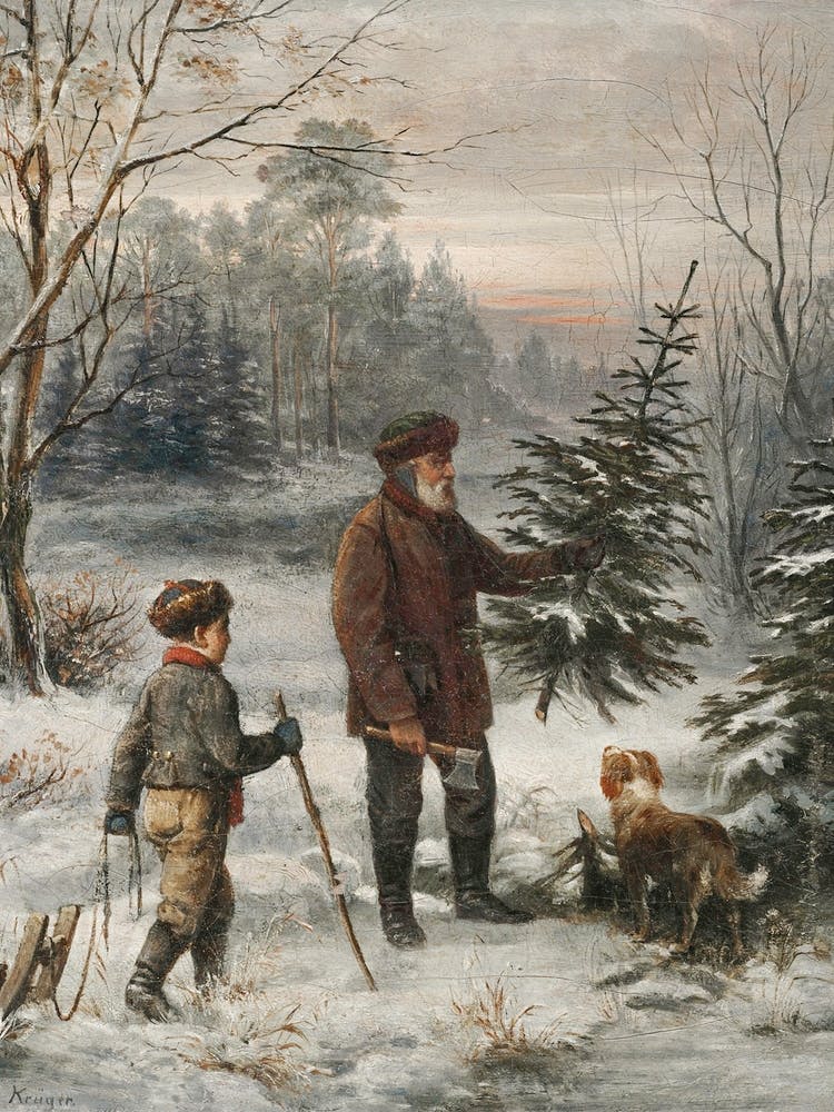 Christmas Tree In The Snow