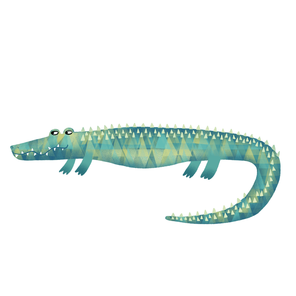 Alligator or Maybe Crocodile