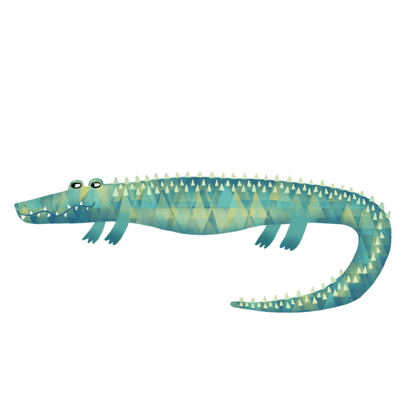 Alligator or Maybe Crocodile