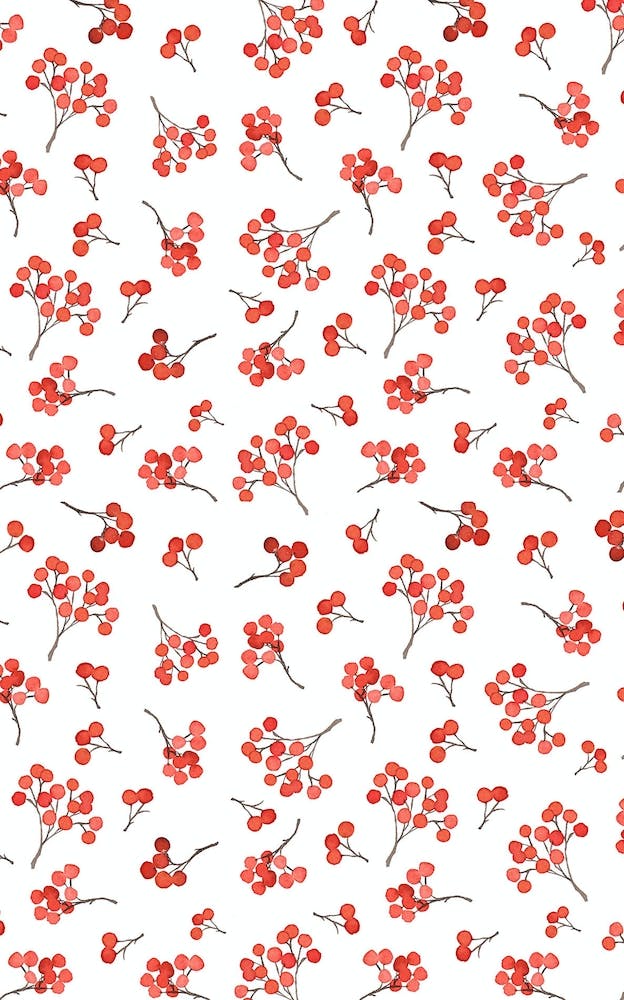 Winter Berries