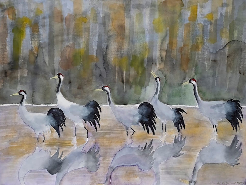 Grey cranes in the autumn forest camouflage