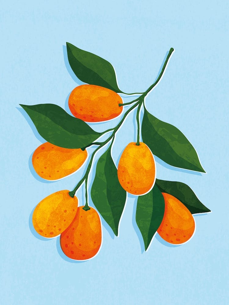 Kumquat