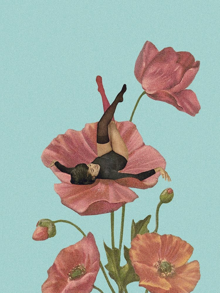 Colourful Dreamer