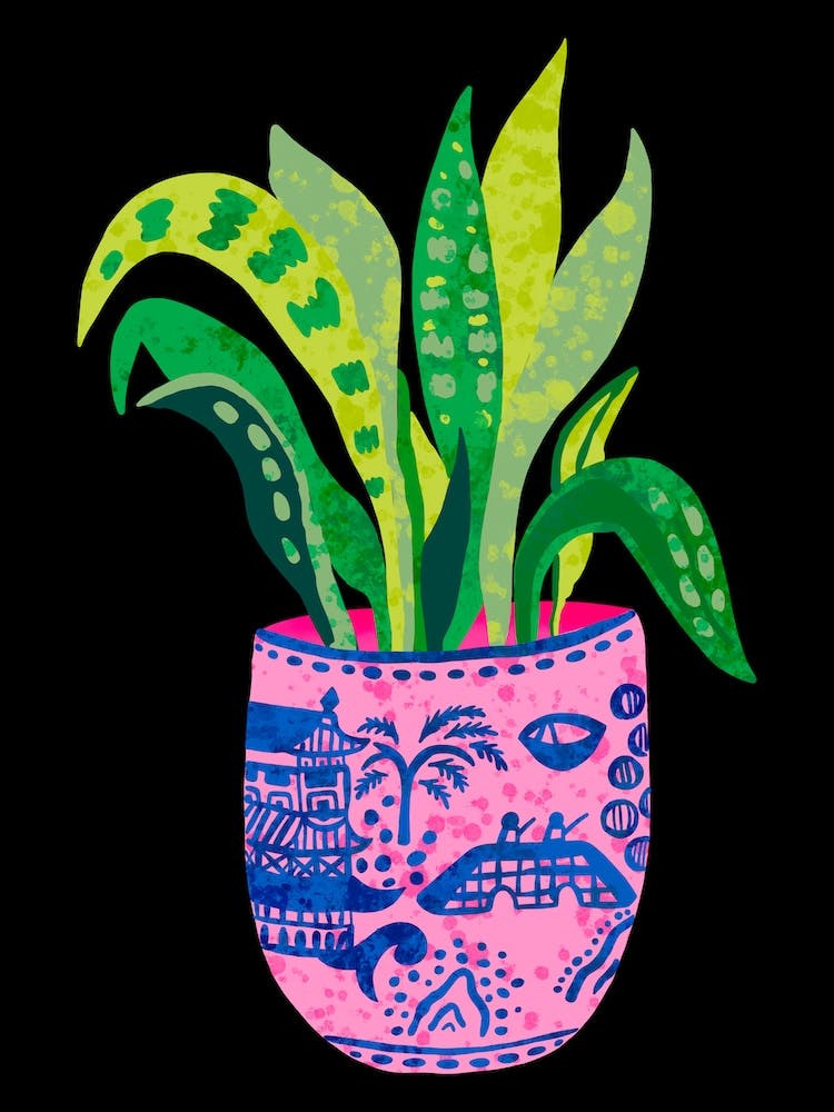 Wilow Pattern Plant