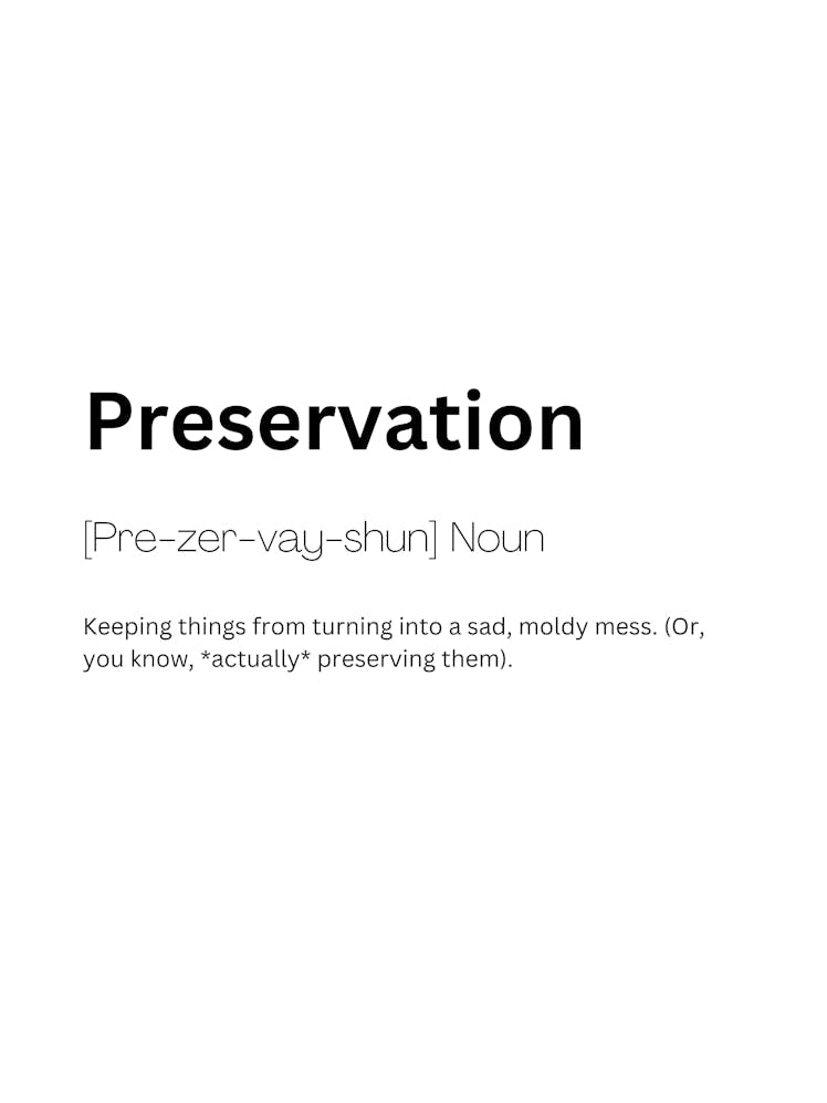 Preservation Definition Meaning
