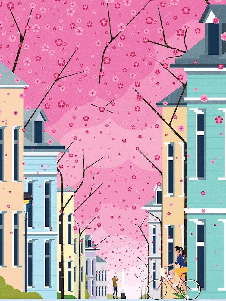 Altstadtbonn Ft.Cyclist