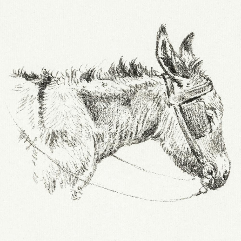 Head Of A Donkey (1821), Jean Bernard
