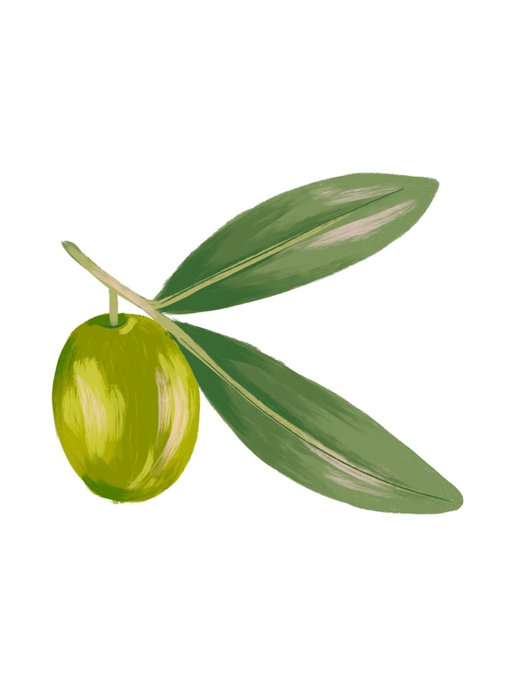 Olivenzweig